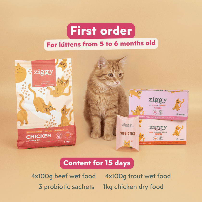 Contenu du Kit d'essai chaton