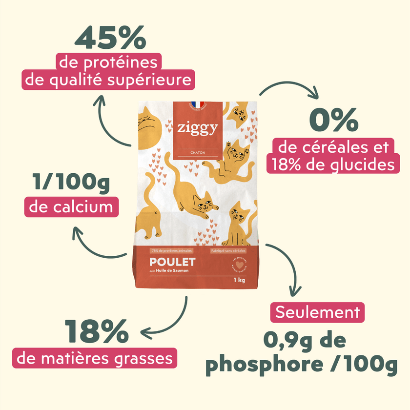 Les plus des croquettes pour chaton Ziggy