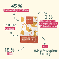 Spécificités des croquettes pour Chaton Ziggy