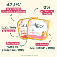 Les plus des pâtées pour chaton Ziggy