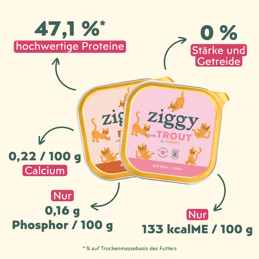 Spécificités des pâtées pour Chaton Ziggy