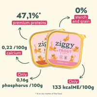 Les spécificités des pâtées pour chaton Ziggy