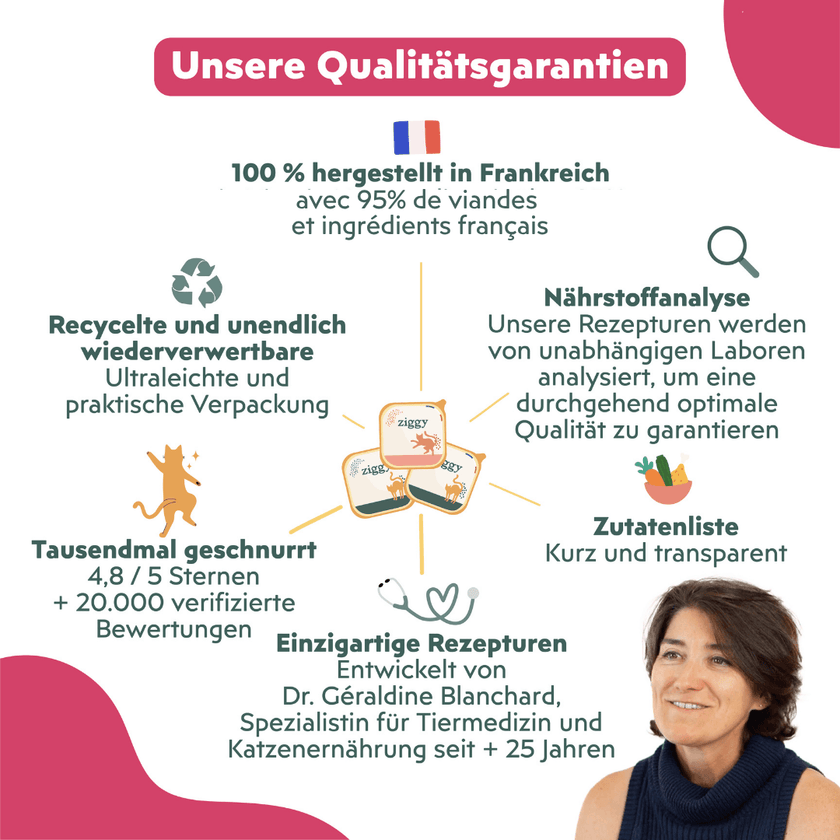Ziggy Qualitätsgarantien