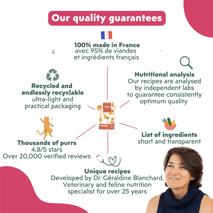 Ziggy quality guarantees