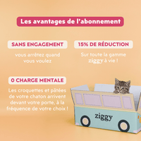 Les avantages de l'abonnement Ziggy