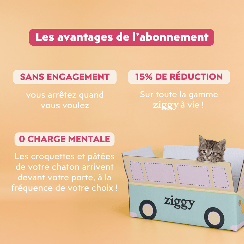 Les avantages de l'abonnement Ziggy
