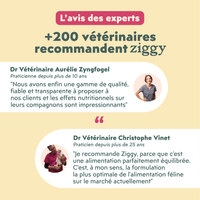 Avis vétérinaires sur les croquettes et pâtées pour chaton Ziggy