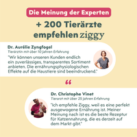 Avis vétérinaires Ziggy