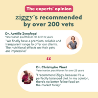 Avis vétérinaires Ziggy