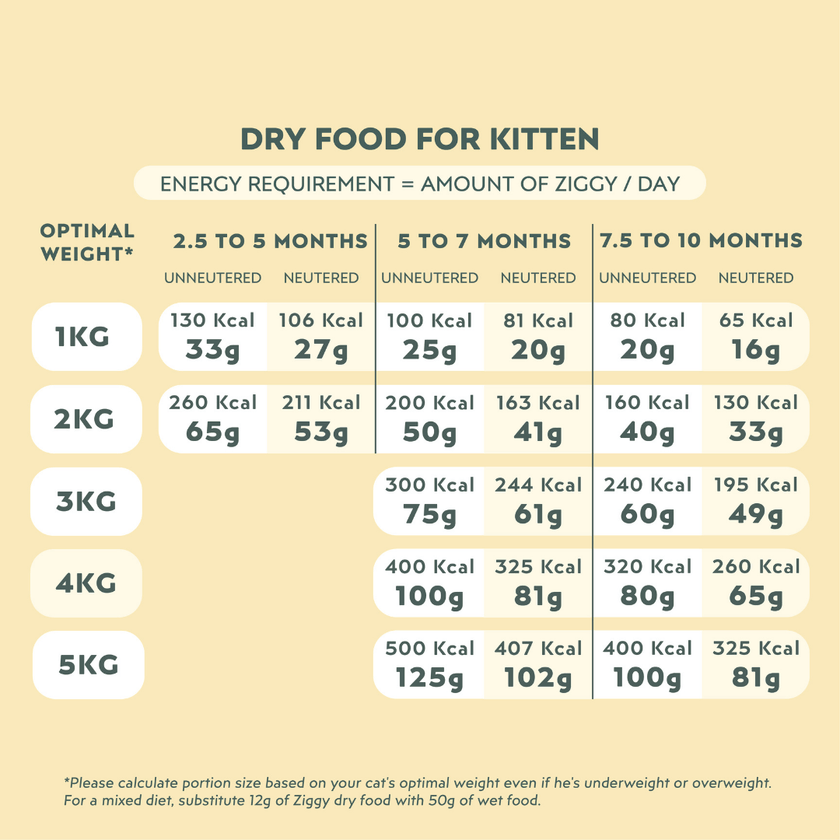 Quantité de croquettes donner à son chaton de 2 à 10 mois