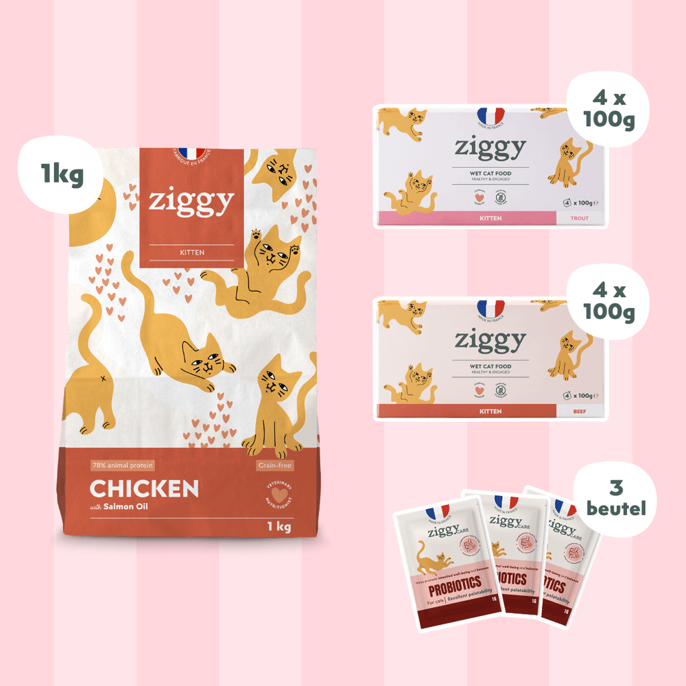 Composition du coffret pour chaton Ziggy alimentation pour chat et chaton saine et sans céréales