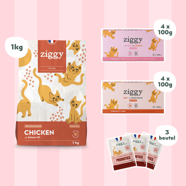 Composition du coffret pour chaton Ziggy alimentation pour chat et chaton saine et sans céréales