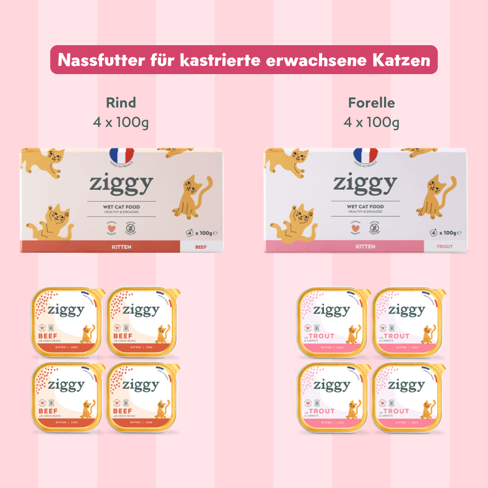 Composition du coffret pour chaton Ziggy alimentation pour chat et chaton saine et sans céréales