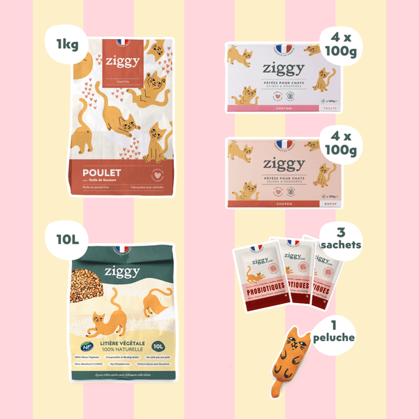 Coffret découverte chaton