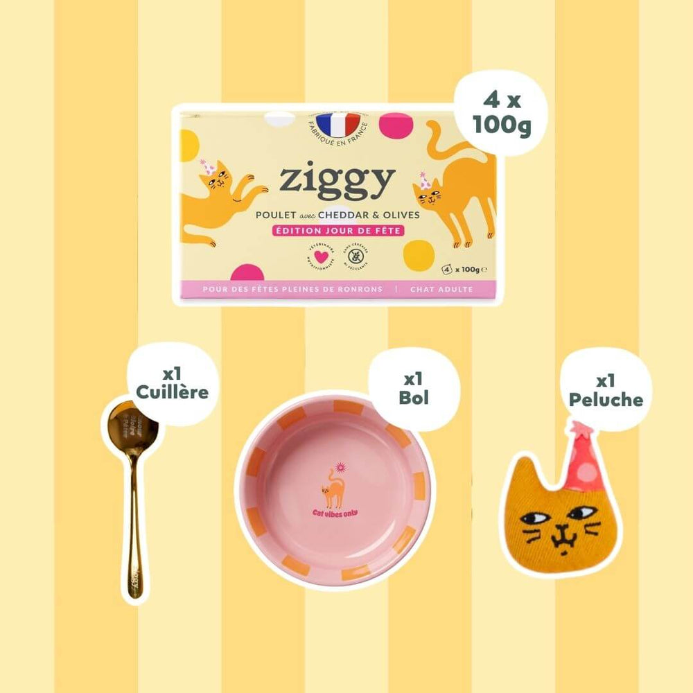 Composition du Coffret Jour de Fête pour chat composé d'une délicieuse pâtée pour chat adulte stérilisé au poulet, cheddar et olive, une cuillère amour gloire et pâtée, un bol Cat Vibes Only et une Peluche Jour de Fête