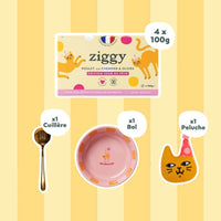 Composition du Coffret Jour de Fête pour chat composé d'une délicieuse pâtée pour chat adulte stérilisé au poulet, cheddar et olive, une cuillère amour gloire et pâtée, un bol Cat Vibes Only et une Peluche Jour de Fête