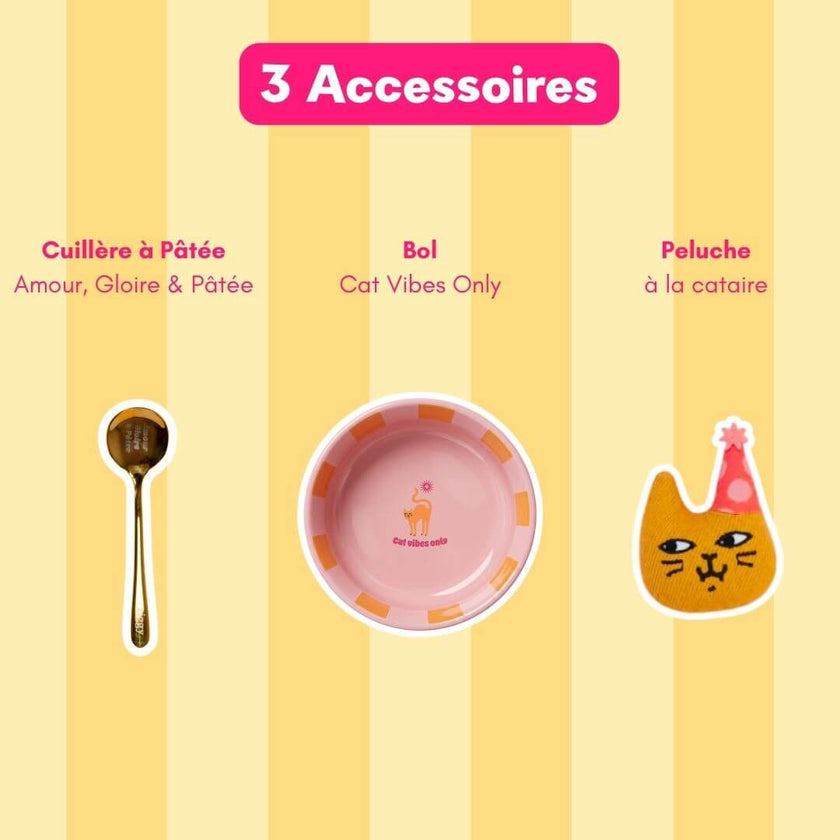 Composition du Coffret Jour de Fête pour chat composé d'une cuillère amour gloire et pâtée, un bol Cat Vibes Only et une Peluche Jour de Fête