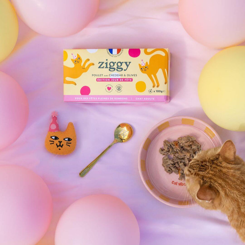 Composition du coffret jour de fête pour chat adulte Ziggy