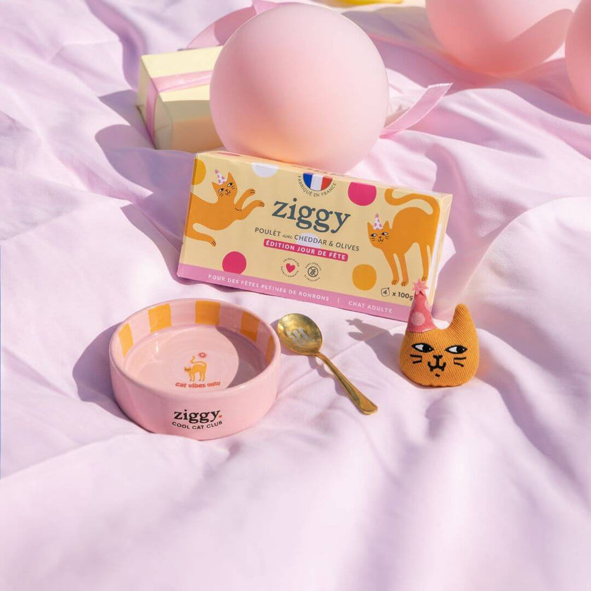 Composition du coffret jour de fête pour chat adulte Ziggy