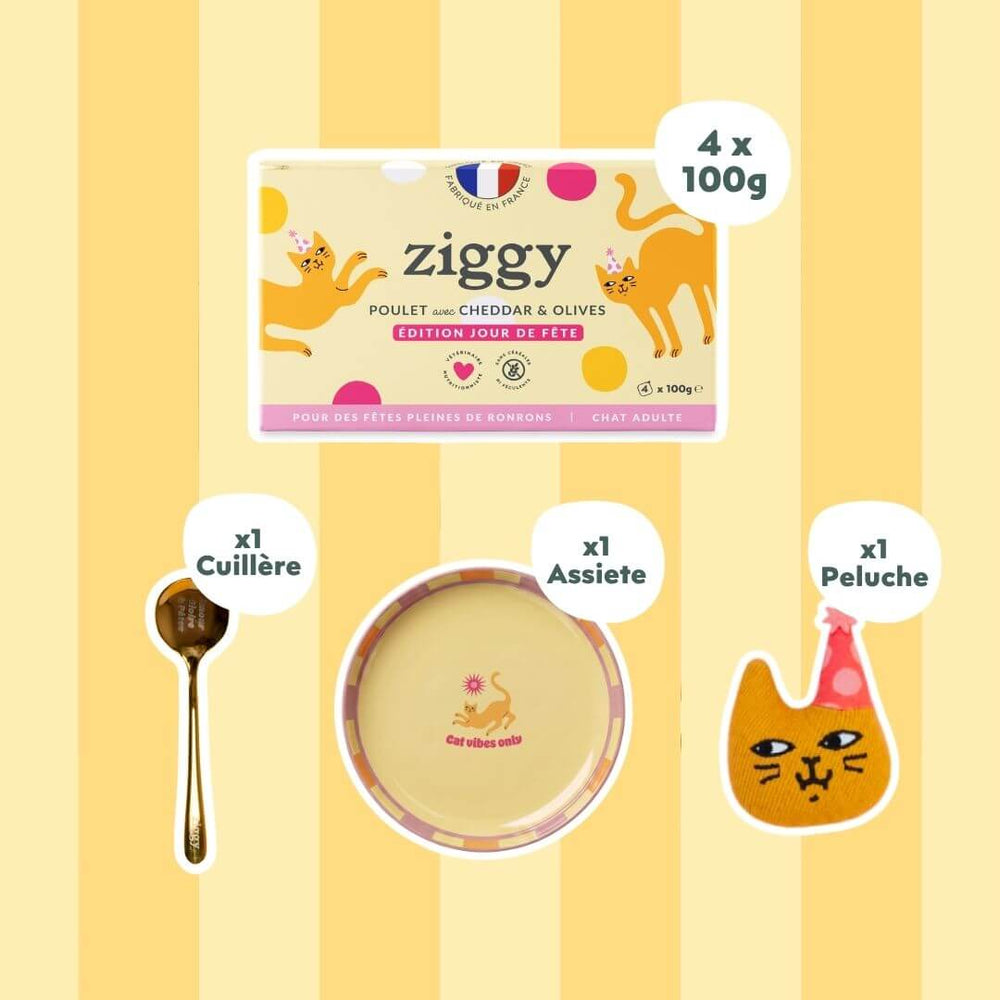 Coffret Jour de Fête Ziggy - visuel produit officiel édition limitée