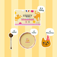 Ziggy Geschenkbox Festtagsedition für Katzen, Gesamtansicht der Verpackung