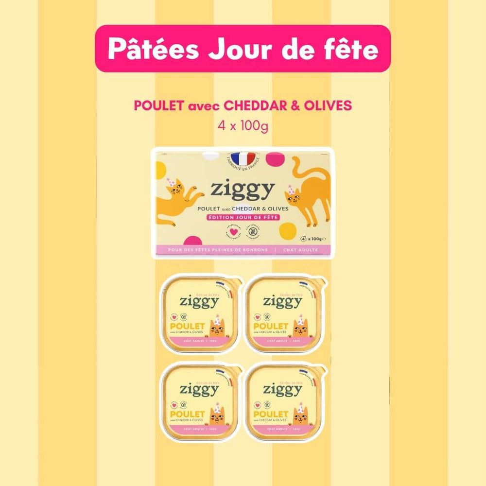 Coffret Jour de Fête Ziggy - visuel produit officiel édition limitée