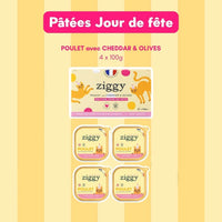 Pack 4 pâtées Ziggy Jour de Fête poulet cheddar et olives - aliment complet pour chat adulte