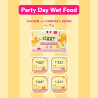 Ziggy Party Day Gift Box - limited edition product visual