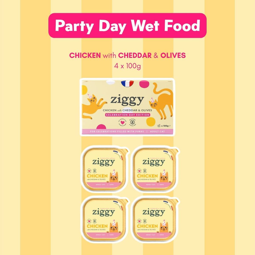 Ziggy Party Day Gift Box - limited edition product visual