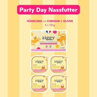 Ziggy Geschenkbox Festtagsedition für Katzen, Inhalt in der Hand präsentiert