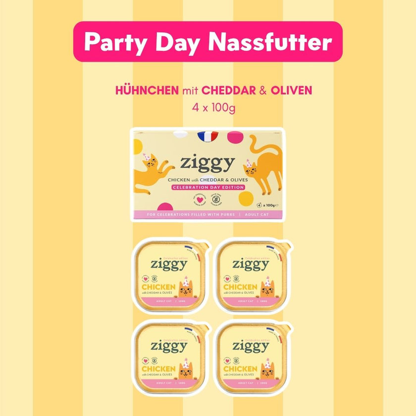 Ziggy Geschenkbox Festtagsedition für Katzen, Inhalt in der Hand präsentiert