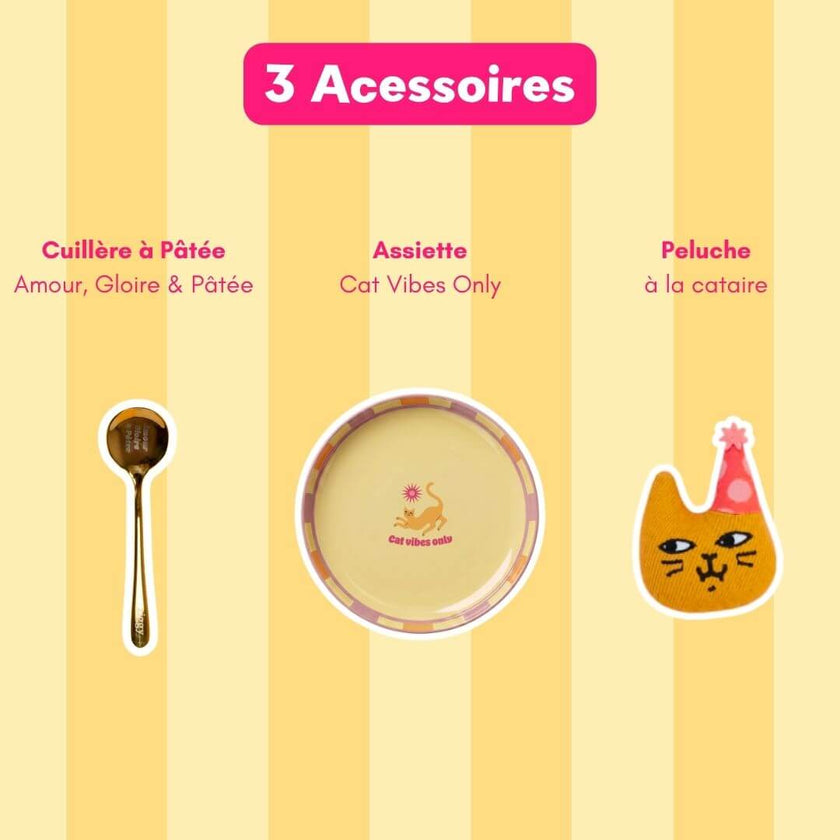 Coffret Jour de Fête Ziggy - présentation des produits inclus