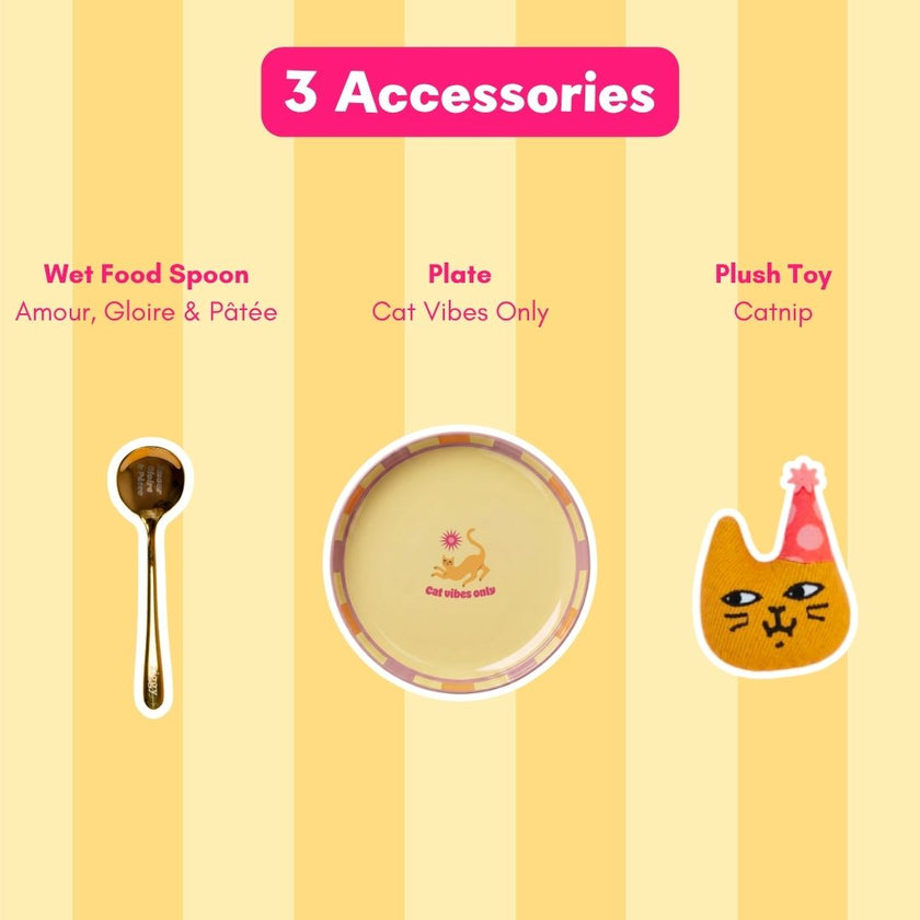 Ziggy Party Edition gift set with treats and accessories for cats