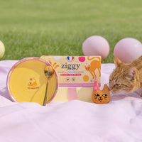 Coffret Jour de Fête Ziggy - contenu du coffret détaillé