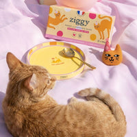 Coffret Jour de Fête Ziggy - édition limitée avec pâtée, peluche et accessoires pour chat