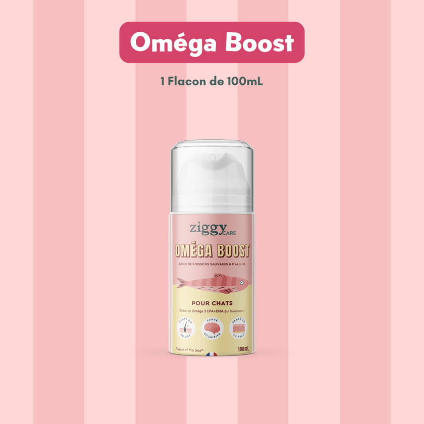 Composition du coffret chat senior : Oméga Boost