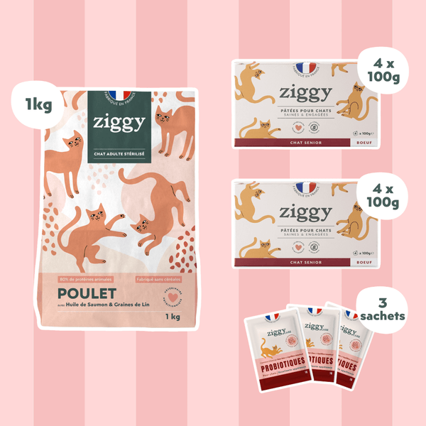 Composition du coffret chat senior