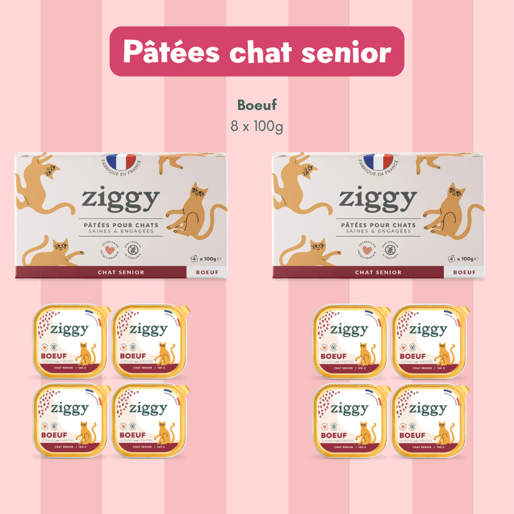 Composition du coffret chat senior
