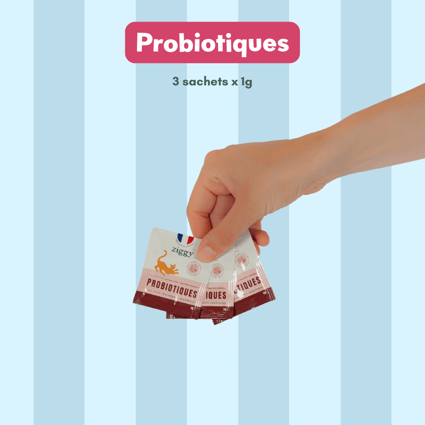 Composition du coffret découverte pour chat adulte stérilisé Ziggy comprenant des croquettes et pâtées pour chat adulte stérilisé ainsi que des probiotiques pour chat