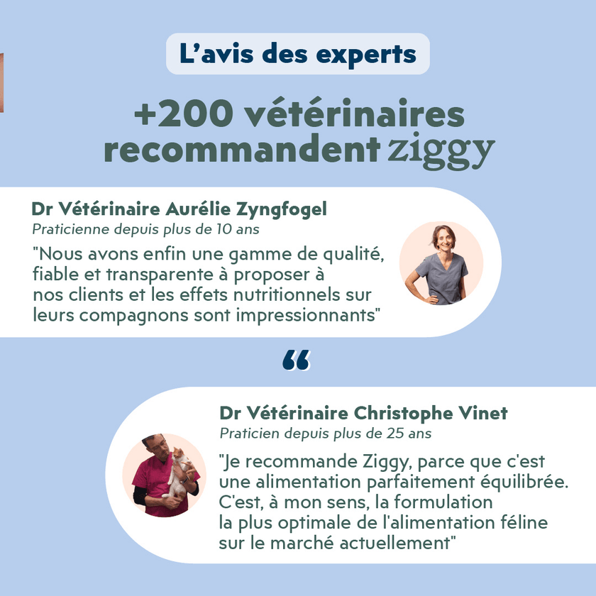Composition du coffret découverte pour chat adulte stérilisé Ziggy comprenant des croquettes et pâtées pour chat adulte stérilisé ainsi que des probiotiques pour chat