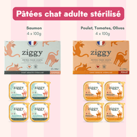 Composition du coffret découverte pour chat adulte stérilisé Ziggy comprenant des croquettes et pâtées pour chat adulte stérilisé ainsi que des probiotiques pour chat