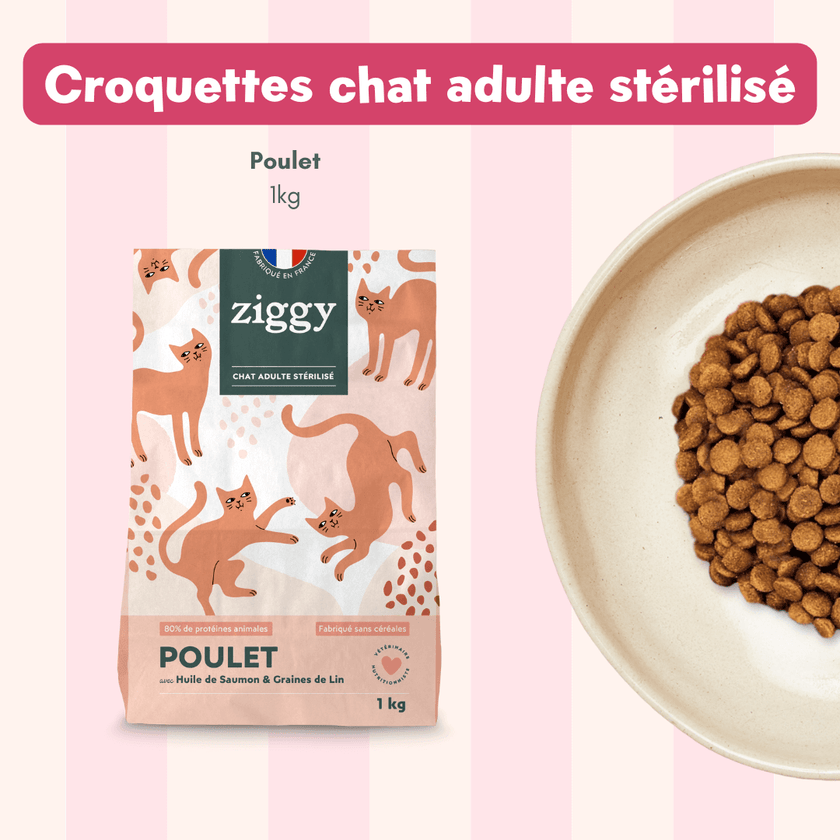 Composition du coffret découverte pour chat adulte stérilisé Ziggy comprenant des croquettes et pâtées pour chat adulte stérilisé ainsi que des probiotiques pour chat