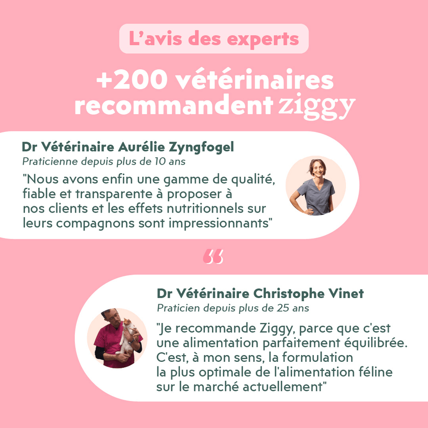 Composition du coffret découverte pour chat adulte stérilisé Ziggy comprenant des croquettes et pâtées pour chat adulte stérilisé ainsi que des probiotiques pour chat