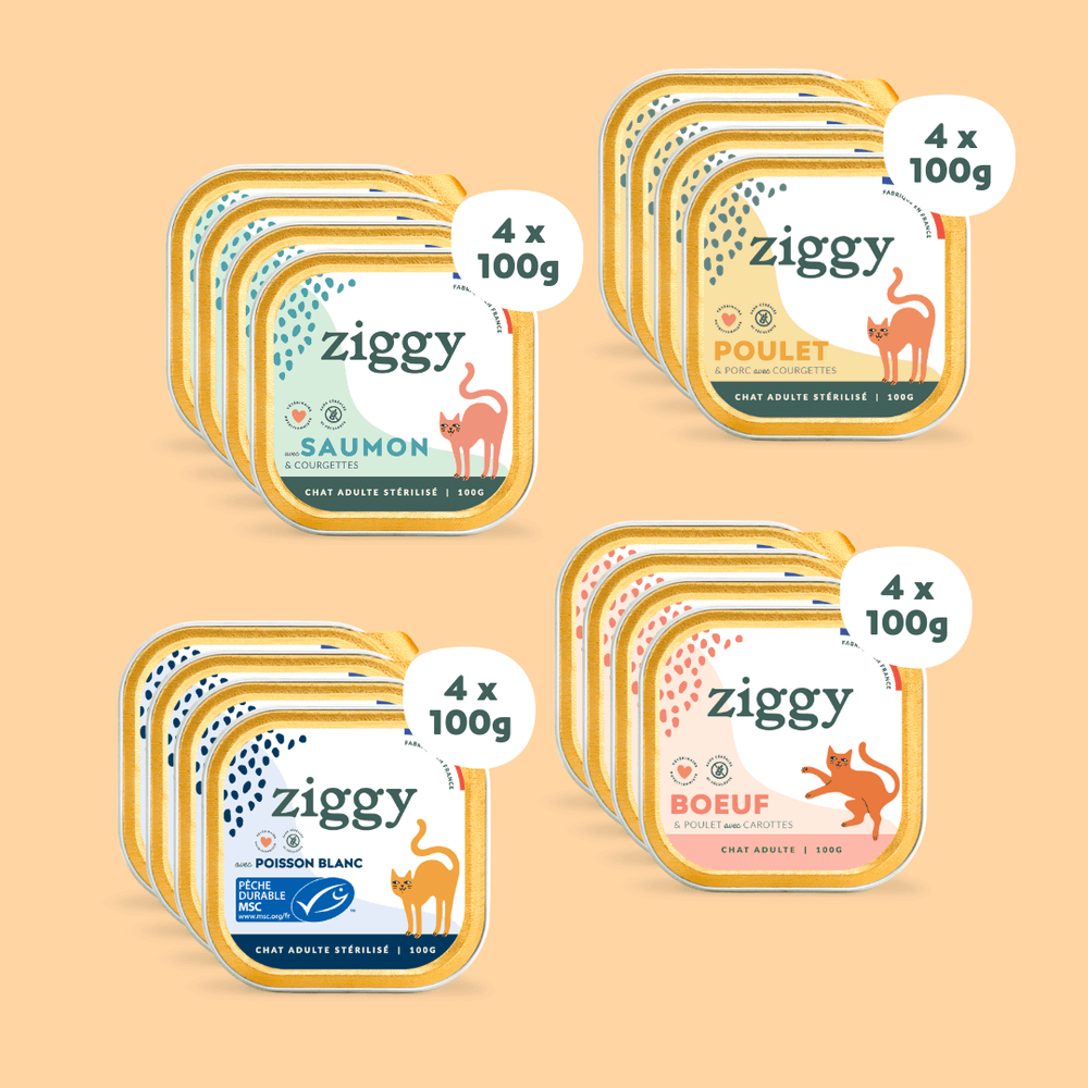 Composition du coffret pour chat adulte stérilisé Ziggy composé de 4 boîtes de 4 pâtées saines et sans amidon de 100g