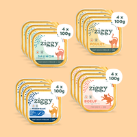 Composition du coffret découverte 16 pâtées Ziggy de 100g pour chat adulte, saines et sans amidon