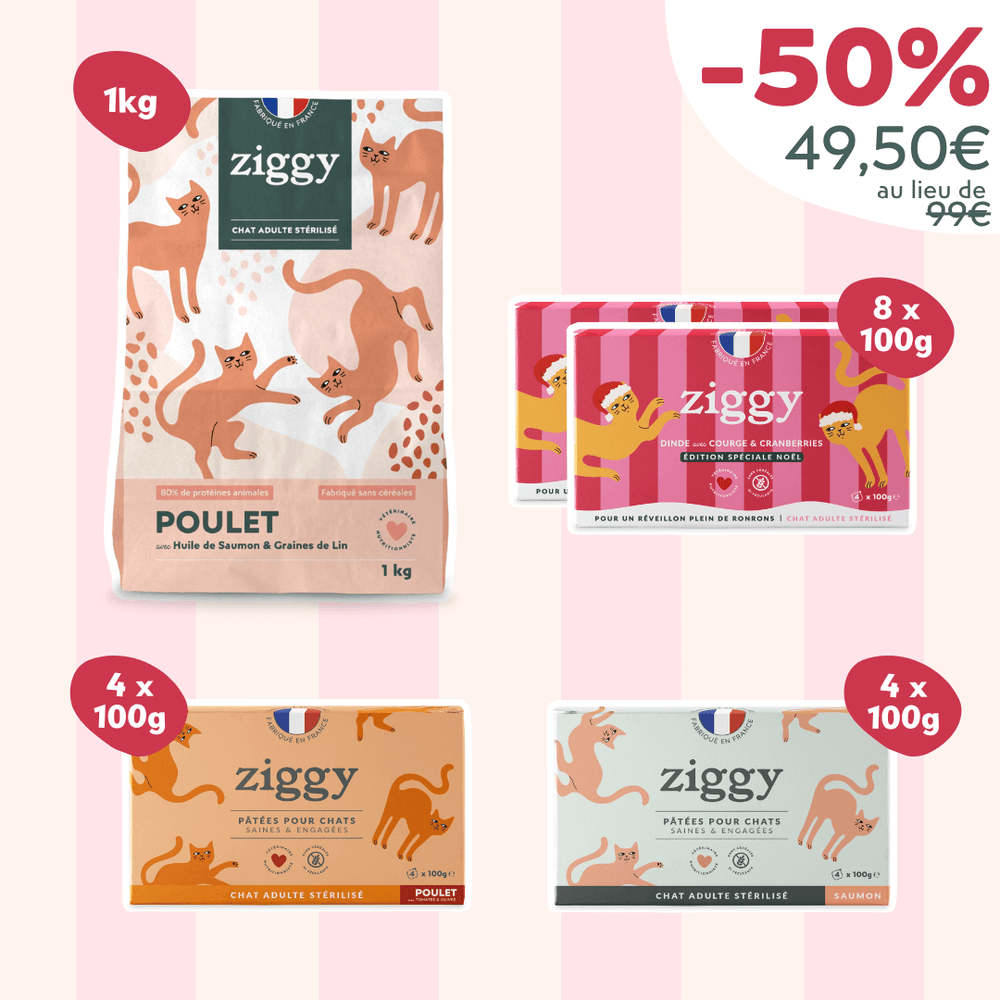 Coffret Chat Adulte - Black Catday