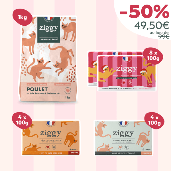 Coffret Chat Adulte - Black Catday