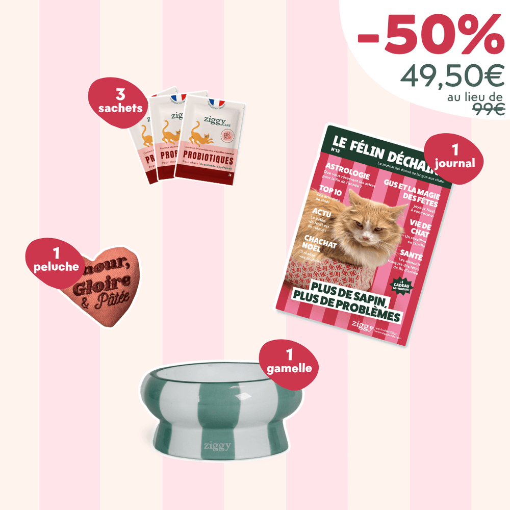 Coffret Chat Adulte - Black Catday