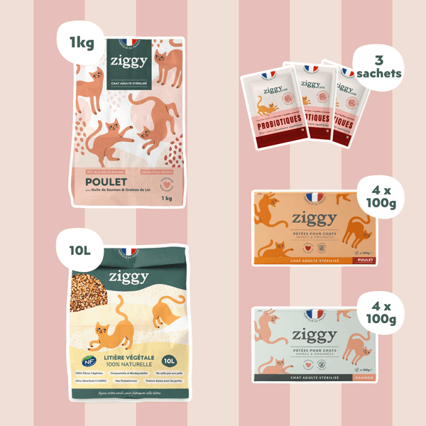 Contenu du Coffret digestion pour chat Ziggy - croquettes et pâtées pour chat adulte stérilisé, probiotiques pour chat et litière