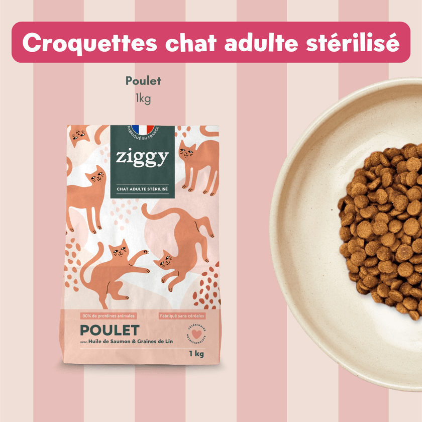 Contenu du Coffret digestion pour chat Ziggy - croquettes et pâtées pour chat adulte stérilisé, probiotiques pour chat et litière